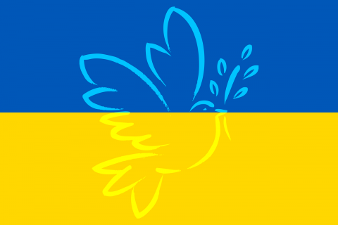 flaga Ukrainy w kolorze niebiesko - żółtym