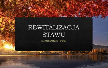 Grafika z prezentacji
