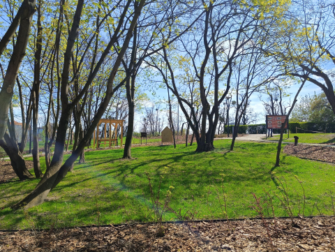 Park - teren zielony, drzewa, mała infrastruktura