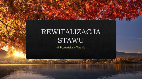 Grafika z prezentacji