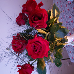 spotkanie RDPP kadencji 2023 - 2025